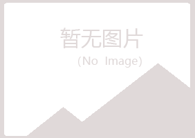 蓝田县埋没能源有限公司